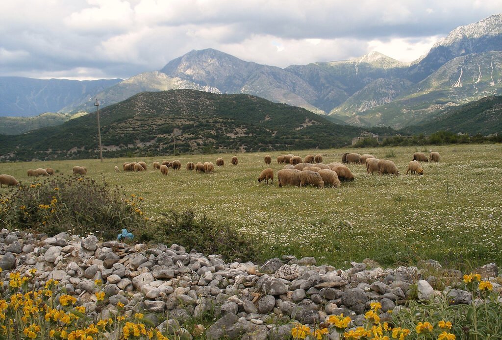 The 8 Best Places to Visit in Albania