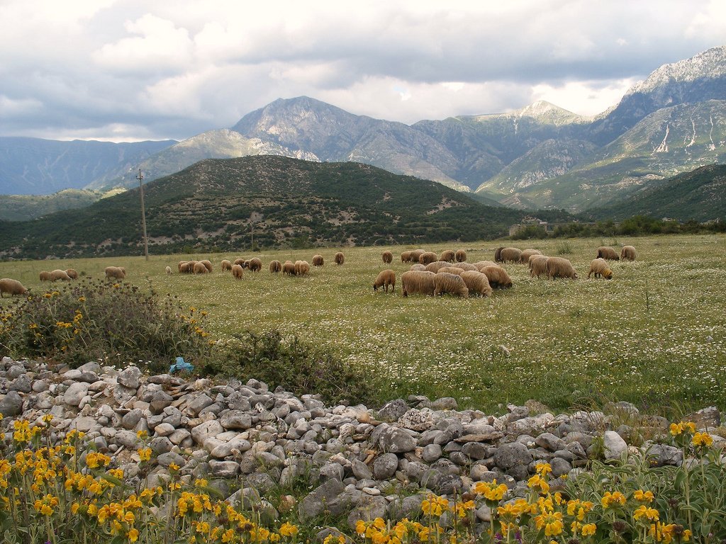 The 8 Best Places to Visit in Albania